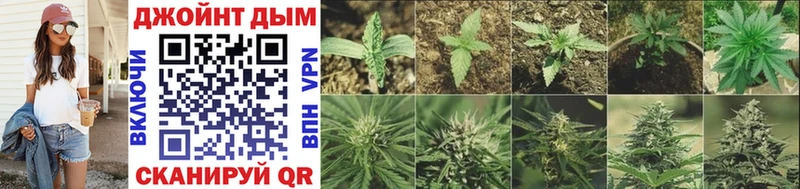 Купить наркотики Шадринск Кокаин  mega как войти  Мефедрон  АМФ 
