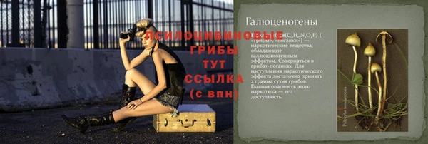 стаф Алексеевка