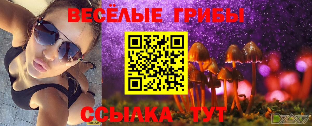 Галлюциногенные грибы Magic Shrooms Шадринск