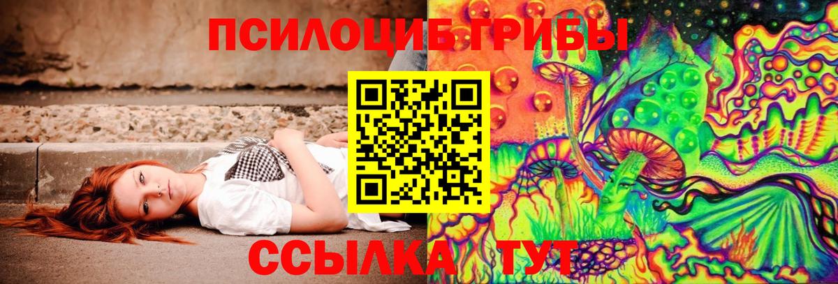 Шадринск  Галлюциногенные грибы мухоморы  Псилоцибиновые грибы мухоморы  Вход с VPN 